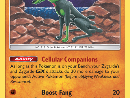 Zygarde (124 236) [Sun & Moon: Unified Minds] For Sale