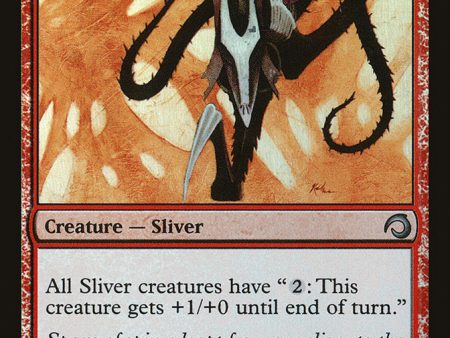 Barbed Sliver [Premium Deck Series: Slivers] For Cheap